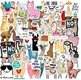 100 simpatici adesivi alpaca divertenti su Internet Pop Animal adesivi per ragazzi, ragazze, adulti, bambini – adesivi per bottiglie d'acqua, ...