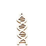 24 PZ Ciondolo Decorazione BOMBONIERA LAUREA DNA in legno 5 cm