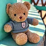 30-70 cm Creativo Teddy Bear Giocattoli di peluche Per bambini Piccole bambole Abbraccio Orso Ragdoll Le coppie regalano Ragazze Compleanno ...