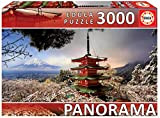 3000 Mount Fuji And Chureito Pagoda - Panorama