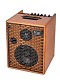 Acus Sound Engineering 03000611 OneforStreet Amplificatore per chitarra acustica a batteria, in legno