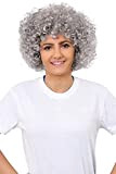 AFRO WIG FANCY DRESS ACCESSORY FUNKY LARGE CURLY HAIR 70'S DISCO CLOWN MENS LADIES IN MANY COLOURS grigio Taglia unica