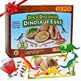 Alpacasso 12 Pezzi di Uova di Dinosauro Giocattoli di Forniture per Feste di Compleanno di Dinosauri, Dino Egg Dig Kit, ...
