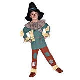 amscan 9906125 - Costume da spaventapasseri per bambini, motivo: Warner Bros Wizard of Oz, multicolore