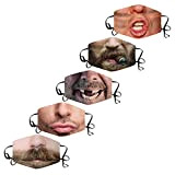 Amuse-MIUMIU, copertura per bocca per adulti, 5 pezzi, con motivo a bocca regolabile, antipolvere, antipolvere, traspirante, lavabile