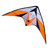 Aquilone acrobatico professionale per adulti sport all'aria aperta, include manico e borsa per kite