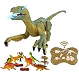 BAKAJI Dinosauro Telecomandato Giocattolo Per Bambini, Animali Preistorici Robot, Velociraptor Ricaricabile con Luce Led e Ruggito Realistico, Gioco di Simulazione ...