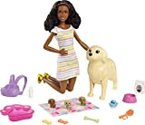 Barbie - Playset Cuccioli Appena Nati, con Bambola Barbie Castana da 30 cm Circa, Cagnolina che Partorisce, 3 Cuccioli e ...