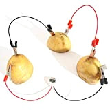 Bio Energy Science Toy Kit,divertimento educativo per bambini Esperimenti di elettricità con patate Giocattoli Bambini Educational Fun Potato Elettricità Esperimenti ...