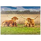 Bovini Longhorn Del Texas Che Riposano Nell'erba Con Le Corna Incrociate - Premium 500 Pezzi Puzzle - MyPuzzle Collezione speciale ...