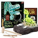 Byncceh Kit di scavi per Dinosauri T-Rex Luminoso, Fossili da Scavare e Assemblare Dinosauri Scheletro Dinosauro da Construire, Regalo per ...