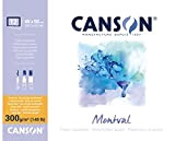 Canson Montval - Blocco per acquerello, guazzo, acrilico, collato 4 lati 40 x 50 cm, 12 fogli, 300 g/m2 grana ...