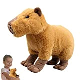 Capybara Plush 30CM Peluche Capybara Simulation Capybara Dolls, Realistic Kawaii Capybara Plush Toy, Peluche di Peluche, Abbracciare Il Cuscino di ...