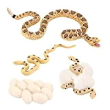 chiwanji Animal Snake Life Cycle Model Set Four Stages Serpente a Sonagli Figure Giocattolo di Apprendimento