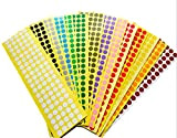 CHSYOO 32 fogli 3200 pezzi adesivi a punti colorati per etichettatura, etichette di codifica rotonde per artigianato e arte, 16 ...