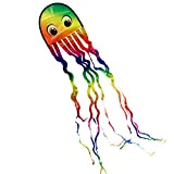 CIM Aquilone - Draki Rainbow - per etá Superiore ai 3 Anni - Dimensioni: 25x160cm - incl. Filo