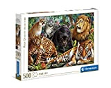 Clementoni- Puzzle Gatos Salvajes 500pzs Does Not Apply Collection-Wild Cats-500 Made in Italy, 500 Pezzi, Animali, Divertimento per Adulti, Multicolore, ...