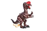 CLICLED Dinosauro Giocattolo Bambini Cammina Ruggisce Oviraptor con luci Suoni Movimenti Uova Jurassic