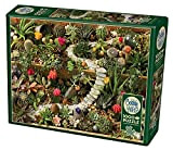 Cobble Hill-1000 pc Succulent Garden Puzzle 1000 Pezzi, Colore Various, CH80157