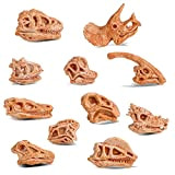 cobee Mini Scheletro di Testa di Dinosauro, 11PCS Dino Bones Playset Figurine di fossili di Dinosauro per Sandbox Figure di ...