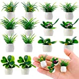 cobee Set di 14 piante in miniatura per casa delle bambole, 1:12, mini piante in vaso da giardino, piccoli fiori, ...