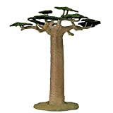 Collecta Baobab