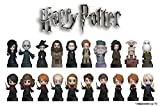 Collezione Completa 20 Personaggi Wizzis 2017 Harry Potter Esselunga Mini Figures Collezionabili Sorpresine Rowling Disney Gadget