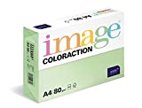 Coloraction 838A 080S 23 Antalis DIN A4, 80 gr/mq- Carta per fotocopie, colore: Verde