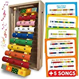 Colorato 8 Nota Metal / Xilofono musicale in legno, 2 Bacchette, per bambini, con spartito in dotazione, Glockenspiel / Xylophone.