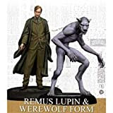 COSMIC GAMES Remus lupin, Miniature, Colore Multicolore, HPMAG08
