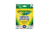Crayola-107706 12 Pennarelli Lavabili, Punta fine, Colori Assortiti, per Scuola e Tempo Libero, Multicolore, unità (Confezione da 1), 58-6671