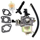 CRNVR Kit carburatore sostituire Accessori compatibili con EINHELL BG-PM 46 S HW BG-PM 46 S-HW SE BG-PM 51 S-HW Motore ...