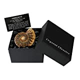 CrystalAge - Confezione regalo con ammonite fossile