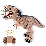 deAO RC Dinosauro Inteligente Multifunzione Robot Radiocontrollato con Movimenti, Suoni e Effetto Fumo Giocattolo Elettronico Multifunzionale (T-Rex)