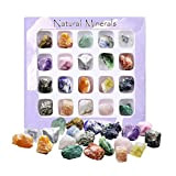 DERCLIVE 20pcs/ Set Rocks Collection Geologia Educazione Pietra preziosa Collezione Naturale Minerale Minerale Esemplari
