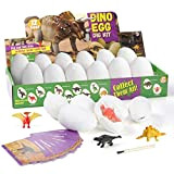 Diealles Shine uova dinosauro, 12 Pezzi Kit di Scavo di Uova di Dinosauro, Giocattoli Educativi di Apprendimento per 6+ Anni ...