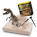 Dinosauri Per Bambini Giocattolo, MUSCCCM Kit Di Dinosauri Fossile Gioco, Dinosauro Archeogiocando Per I Regali Di Natale Dei Bambini