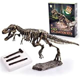 Dinosauro fossile scavo archeologico, giocattolo dinosauro, giocattolo a partire dai 6 anni (Tyrannosauro)