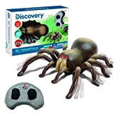 Discovery IR Tarantola radiocomandata, RC, animale realistico, giocattoli per bambini 8 anni, infrarossi, radiocomandato (World Brands 6000376)