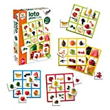 Diset Loto Photo Fruits - Gioco educativo per bambini dai 3 anni, Multicolore