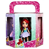 Disney princess 6 pack : Ariel, Aurora, Rapunzel, Merida, Cinderella and Belle.