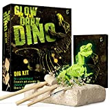 Dr. Daz - Archeogiocando fosforescenti dino -Kit di scavi per Dinosauri T-Rex Assemblare Gli 16 Pezzi di Dinosauro