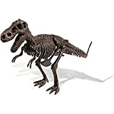 Dr Steve Hunters Excavation Pieces-Uncle Educational Toy Kit di scavo Dino Dig-T. rex-13 Pezzi-Zio Milton scientifico educativo Giocattolo, Multicolore, 91030