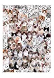 EACHHAHA 1000 Pezzi Puzzle-Puzzle in Cartone- Giochi Puzzle Relax-rompicapo Puzzle-Mondo dei Gatti (70x50 cm / 27,5x19,7 Pollici) per Bambini e ...