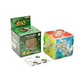 EasyGame Shengshou Mohuan magic cube gear versione avanzata II, 2X2 Speed Cubing, giochi Clear Teaser
