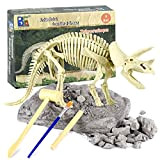 EBSTUNS Set per scavare dinosauri, fossili da scavare, dinosauro, kit STEM, giocattolo per la formazione perfetta, giocattolo fai da te, ...