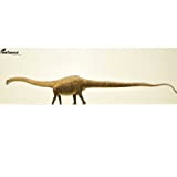 Eofauna Diplodocus carnegii Dinosaur Model