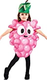 Eurocarnavales Costume da grappolo d'uva per bambino - 3 - 4 anni (92 - 104 cm)