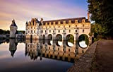 FAWFAW Puzzle 1000 Pezzi, Castello di Chenonceau, Francia Valle della Loira Puzzle in Legno per Bambini 75X50Cm