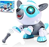 Felly Cane Robot Giocattolo Bambini, 2021 Nuovo Robot per Bambini, Giocattoli Educativi Precoci Intelligenti per 3 4 5 6 7 ...